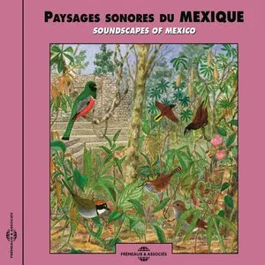 Pochette de Paysages sonores du Mexique / Soundscapes of Mexico de Bernard Fort