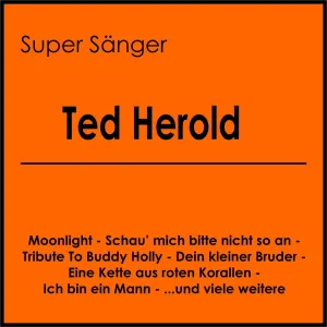 Pochette de Super Sänger de Ted Herold