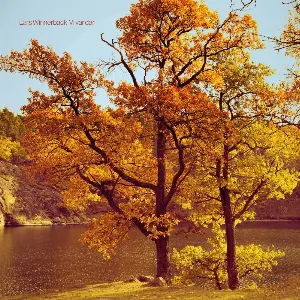 Pochette de Vi var där de Lars Winnerbäck