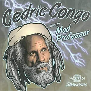 Pochette de Ariwa Dub Showcase de Mad Professor