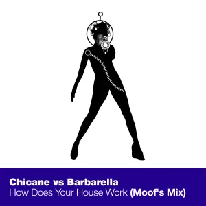 Pochette de How Does Your Housework? (Moof's mix) de Chicane