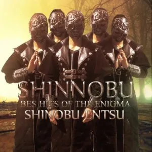 Pochette de Best Hits of the Enigma de Shinobu Entsu