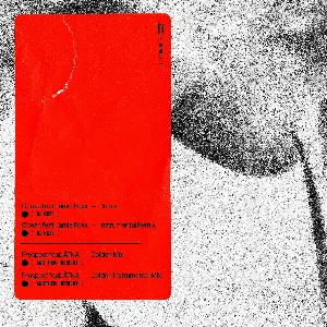 Pochette de Nobody Is Not Loved, Remixes, Pt. 2 de Solomun