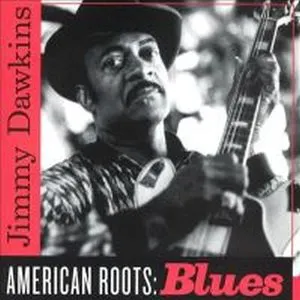 Pochette American Roots: Blues