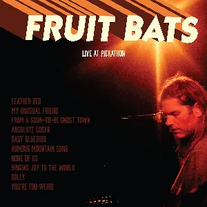 Pochette de Live at Pickathon de Fruit Bats