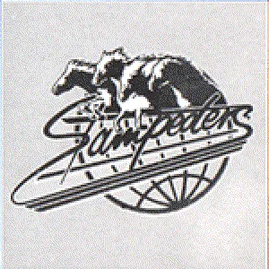 Pochette de Platinum de The Stampeders