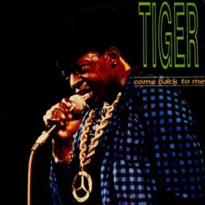Pochette de Come Back To Me de Tiger