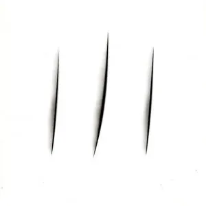 Pochette de Points and Slashes de Günter Müller