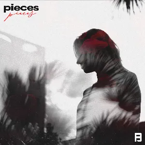 Pochette de Pieces de Bayza