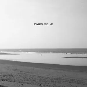 Pochette de Feel Me de AWITW