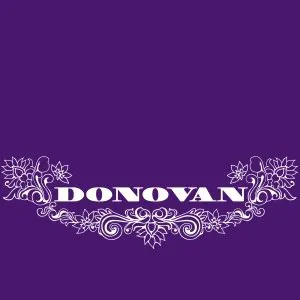 Pochette Try for the Sun: The Journey of Donovan