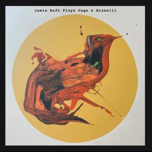 Pochette de Plays Cage & Granelli de Jamie Saft