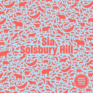 Pochette de Solsbury Hill de Sia