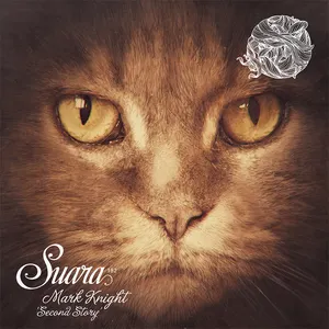 Pochette de Second Story de Mark Knight