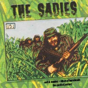 Pochette de Cork & Monkey de The Sadies