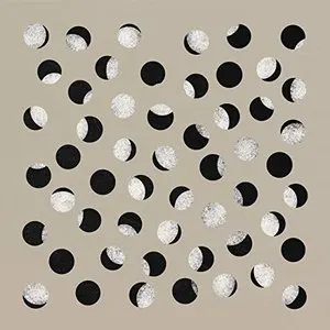 Pochette de The Covideo Sessions de Half Moon Run