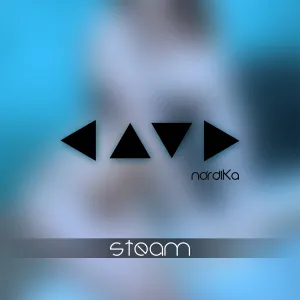 Pochette de Steam de Nórdika