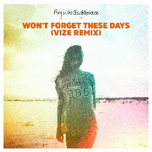 Pochette de Won’t Forget These Days (VIZE remix) de VIZE