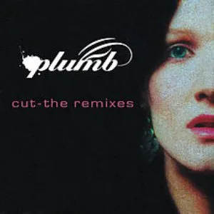 Pochette Cut (The Remixes)