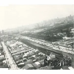 Pochette de 羽根/JIVE de GRAPEVINE