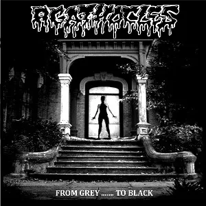 Pochette de From Grey… to Black de Agathocles