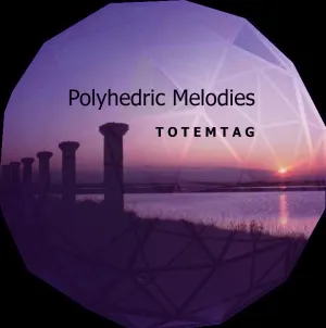 Pochette de Polyhedric Melodies de Totemtag