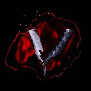 Pochette de Bleeders de Black Veil Brides