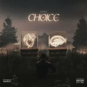 Pochette de Choice de Zedk