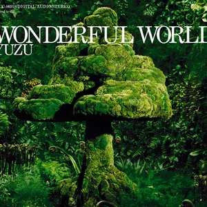 Pochette de WONDERFUL WORLD de Yuzu