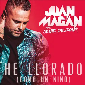 Pochette de He llorado (Como un niño) de Juan Magán