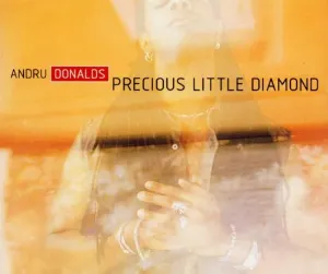 Pochette Precious Little Diamond