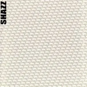 Pochette de El Camino Project de Shazz