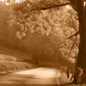 Pochette de Until One Morning... de Elio Varesse