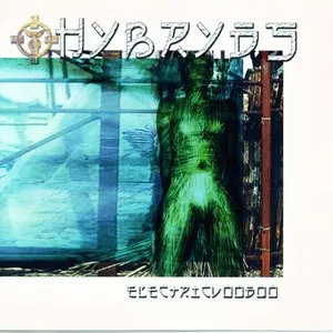 Pochette de Electric Voodoo de Hybryds