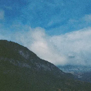 Pochette de Torn de Shitao