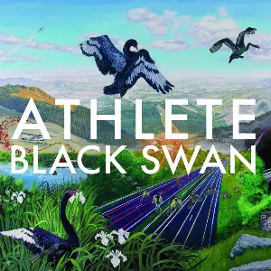 Pochette Black Swan