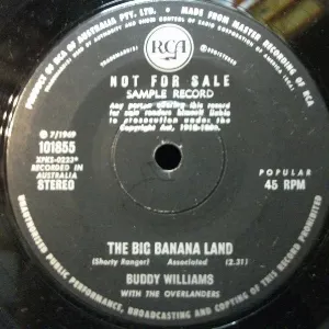 Pochette de The Big Banana Land de Buddy Williams