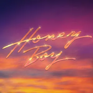Pochette de Honey Boy de Purple Disco Machine
