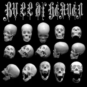 Pochette de 269: Have the Gates of Death Been Opened Unto Thee? de Bull of Heaven
