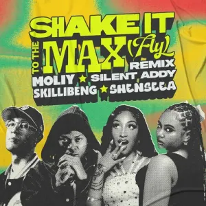 Pochette de Shake It To The Max (FLY) [Remix] de Shenseea