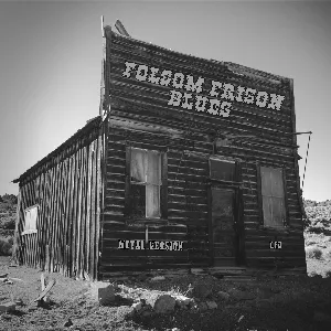Pochette de Folsom Prison Blues (Metal Version) de Leo Moracchioli