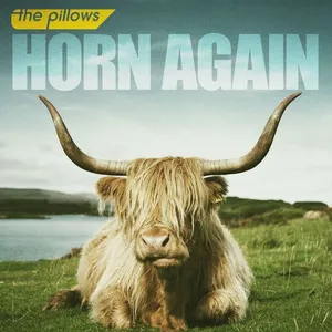 Pochette de HORN AGAIN de the pillows