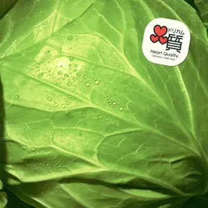 Pochette de 何度でも de DREAMS COME TRUE