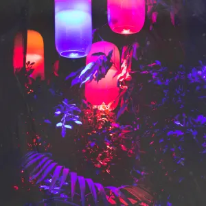 Pochette de Shallows de ØDYSSEE