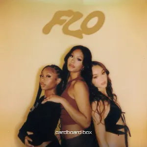Pochette de Cardboard Box de FLO
