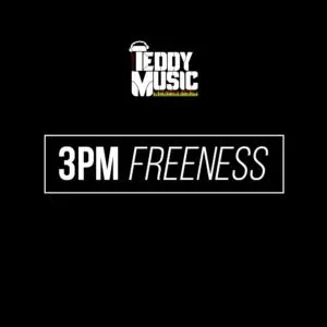 Pochette de 3pm Freeness de Silencer