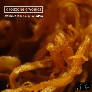 Pochette de Dropzone Cryonics de Francisco López