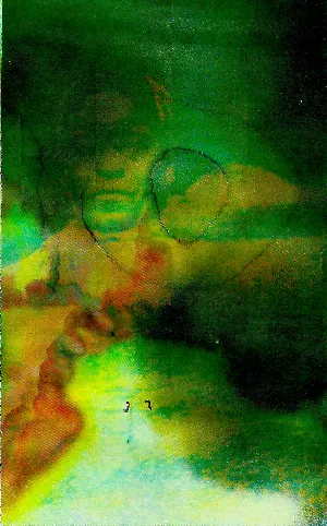 Pochette de "In Orbit" de Sunburned Hand of the Man