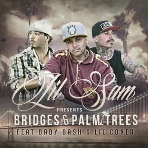Pochette de Bridges & Palm Tress de Baby Bash