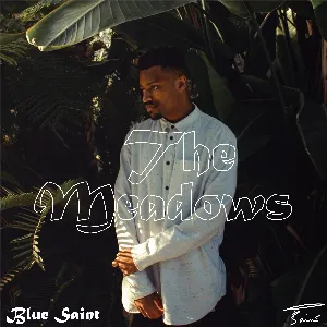 Pochette de The Meadows de Blue Saint